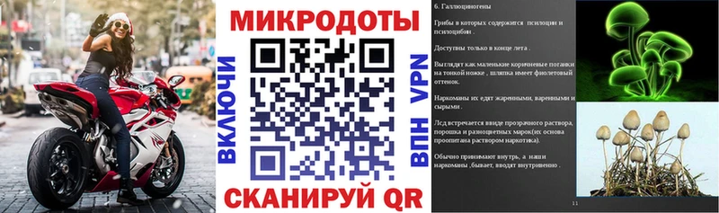 Псилоцибиновые грибы мицелий  omg ССЫЛКА  Касли 